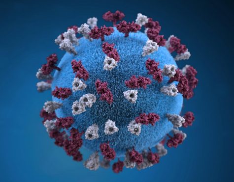 The Coronaviruss Far-Reaching Impacts