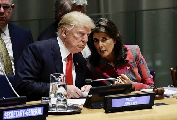 Opinion: Polls Say Haley Would Have Beat Biden. Trump’s Republican Cult Ruined That Chance.